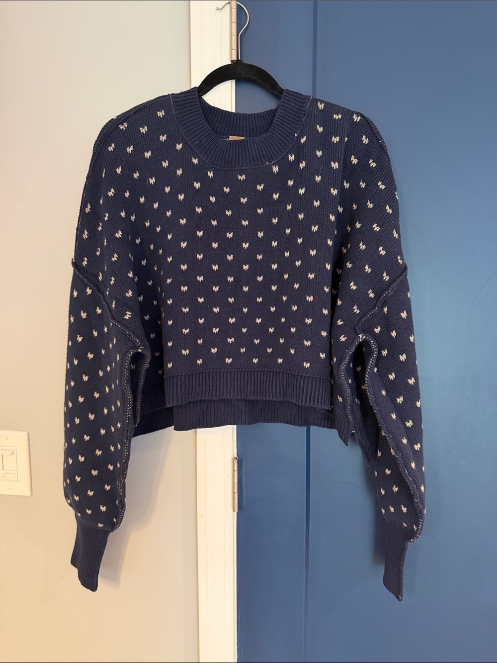 Free People Navy and White Cropped Crewneck Sweater